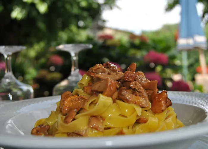 בית הארחה Mimosa