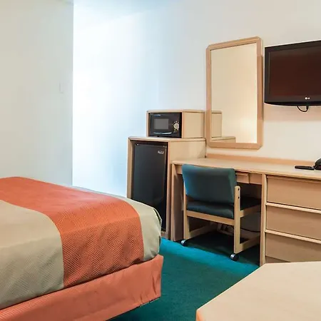 Mimosa Guest house