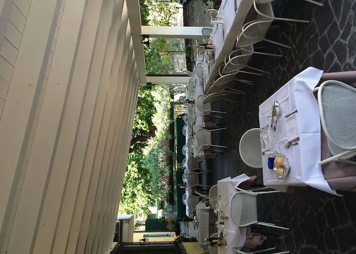 Maison d'hôtes Mimosa